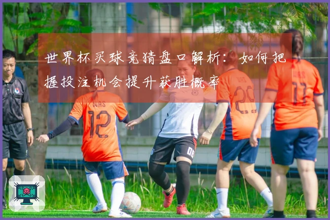 世界杯买球竞猜盘口解析：如何把握投注机会提升获胜概率