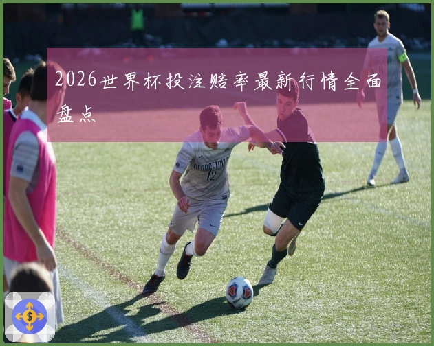 2026世界杯投注赔率最新行情全面盘点